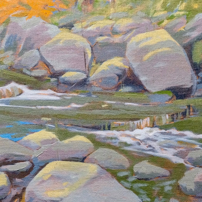 Autumnal Immersion